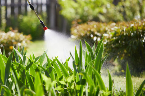 Tamper-Resistant Bait Stations for Rodents in Orange