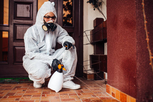 Attic and Crawl Space Rodent Treatment in Orange